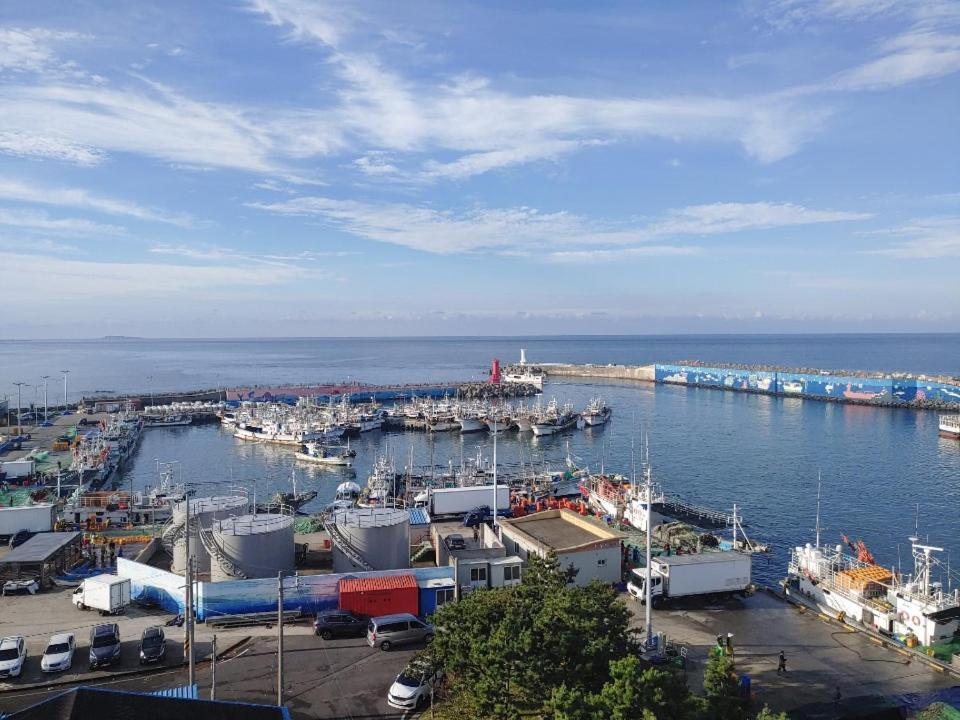 Dream Jeju Hotel ソギポ エクステリア 写真